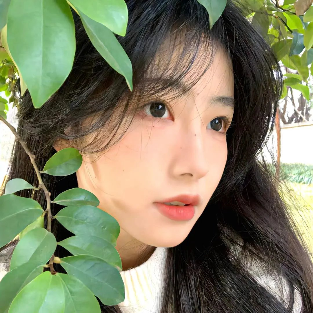 爱的乐章