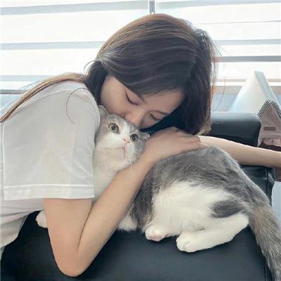 彩色的星星